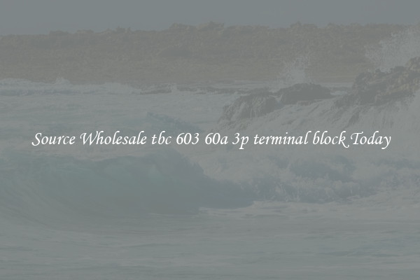 Source Wholesale tbc 603 60a 3p terminal block Today