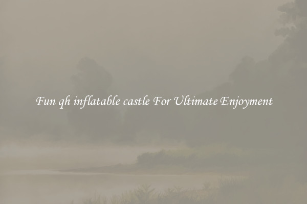 Fun qh inflatable castle For Ultimate Enjoyment