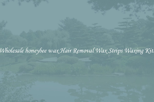 Wholesale honeybee wax Hair Removal Wax Strips Waxing Kits