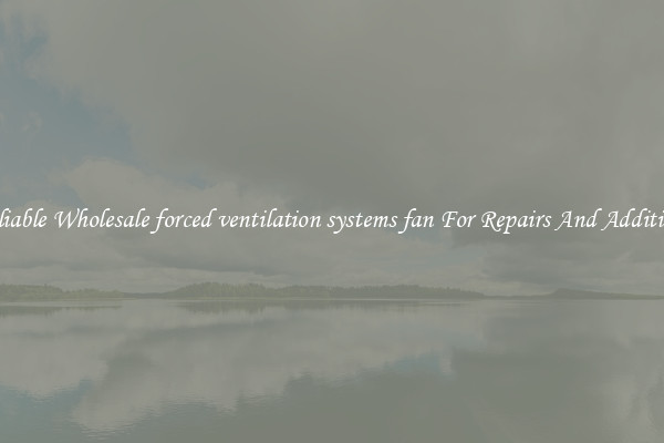 Reliable Wholesale forced ventilation systems fan For Repairs And Additions