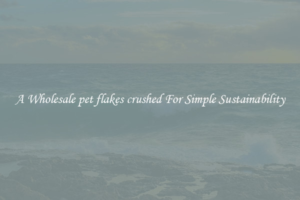 A Wholesale pet flakes crushed For Simple Sustainability 