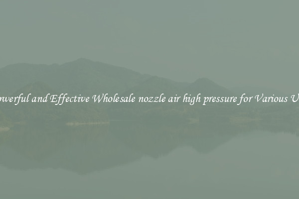 Powerful and Effective Wholesale nozzle air high pressure for Various Uses