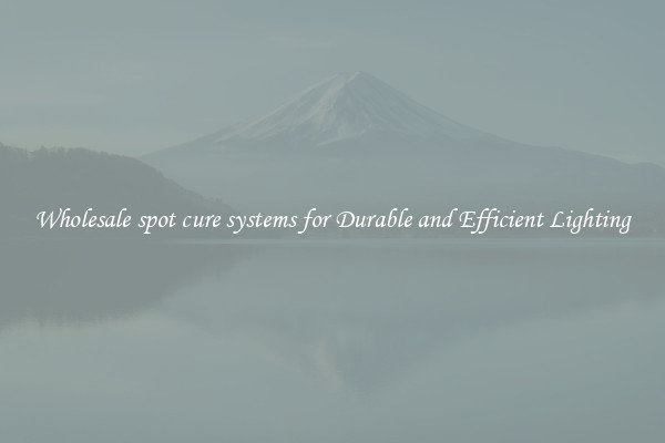 Wholesale spot cure systems for Durable and Efficient Lighting