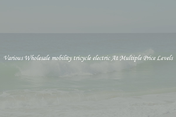 Various Wholesale mobility tricycle electric At Multiple Price Levels