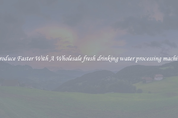 Produce Faster With A Wholesale fresh drinking water processing machine