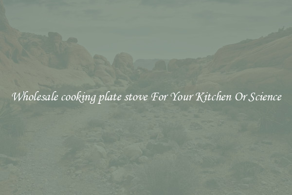 Wholesale cooking plate stove For Your Kitchen Or Science