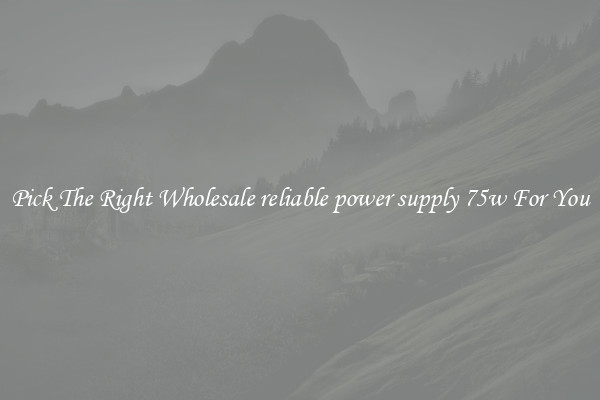 Pick The Right Wholesale reliable power supply 75w For You