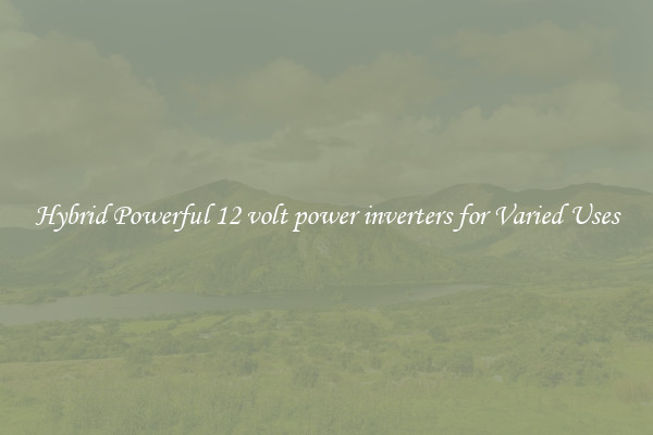 Hybrid Powerful 12 volt power inverters for Varied Uses