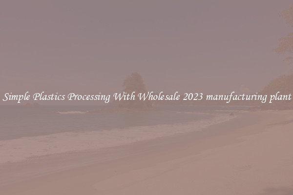 Simple Plastics Processing With Wholesale 2023 manufacturing plant