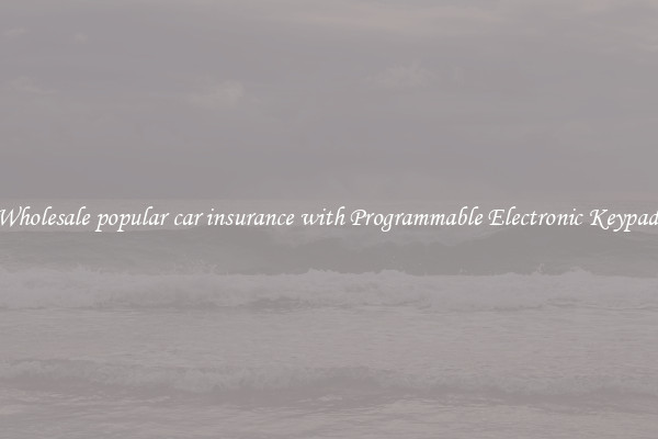 Wholesale popular car insurance with Programmable Electronic Keypad 