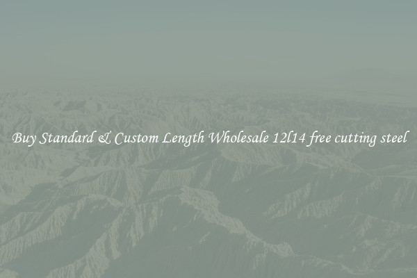Buy Standard & Custom Length Wholesale 12l14 free cutting steel