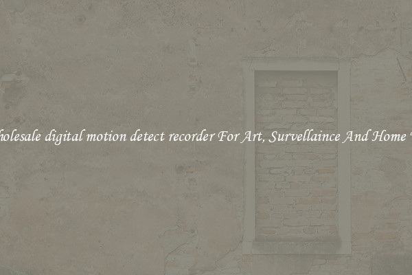 Wholesale digital motion detect recorder For Art, Survellaince And Home Use