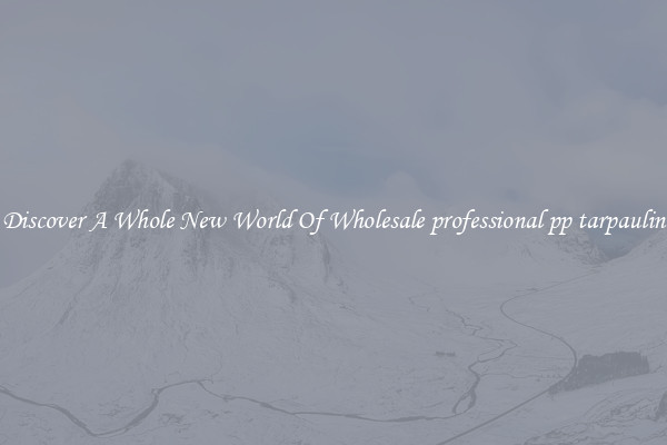 Discover A Whole New World Of Wholesale professional pp tarpaulin