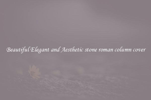 Beautiful Elegant and Aesthetic stone roman column cover