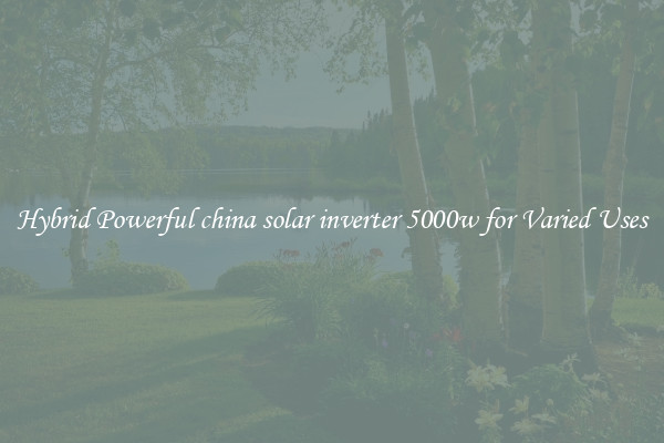 Hybrid Powerful china solar inverter 5000w for Varied Uses