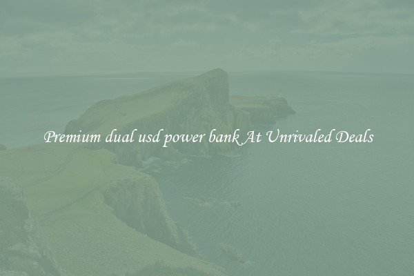 Premium dual usd power bank At Unrivaled Deals