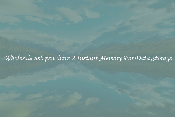 Wholesale usb pen drive 2 Instant Memory For Data Storage