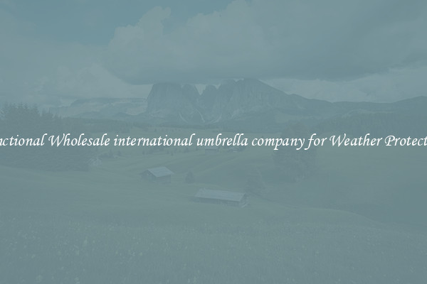 Functional Wholesale international umbrella company for Weather Protection 