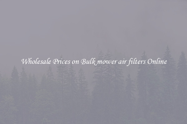 Wholesale Prices on Bulk mower air filters Online
