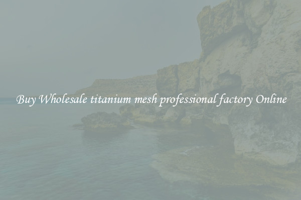 Buy Wholesale titanium mesh professional factory Online